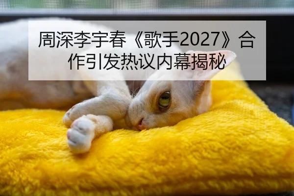 周深李宇春《歌手2027》合作引发热议内幕揭秘
